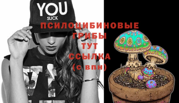 твердый Алексин