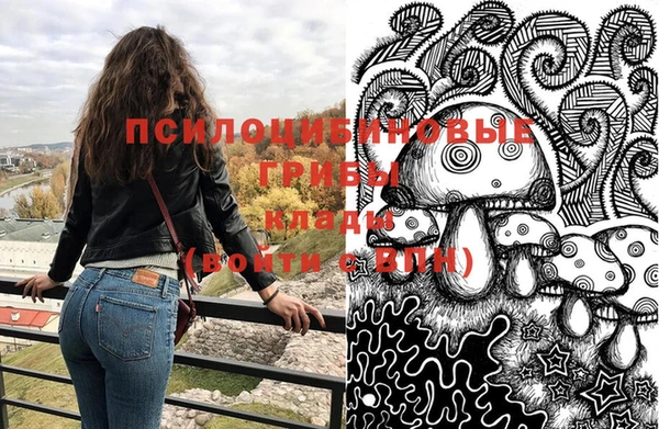 твердый Алексин