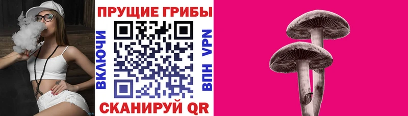 сайты даркнета какой сайт  наркота  Железноводск  Галлюциногенные грибы Psilocybe 